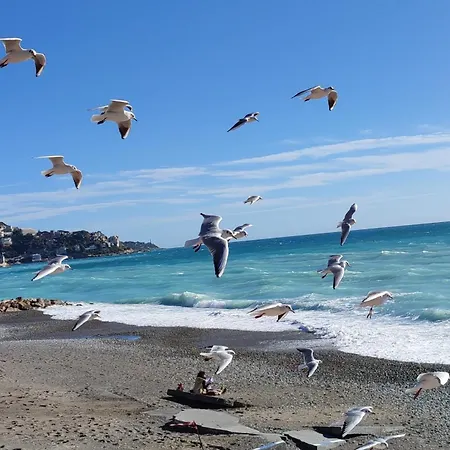 Les Terrasses D'herold * Nizza